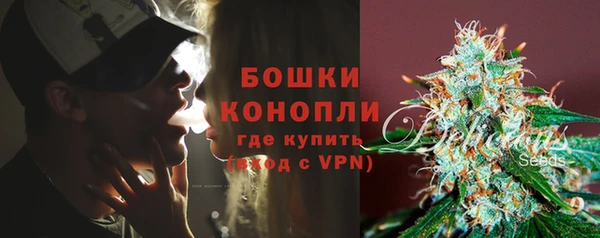 винт Дмитриев