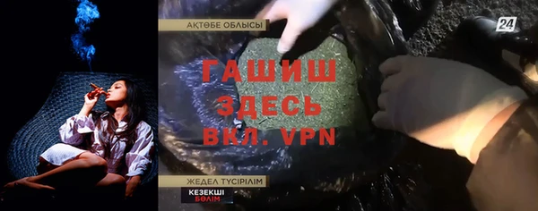 шишки Елизово