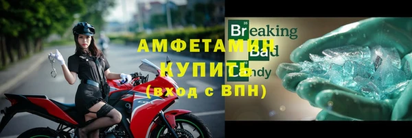 шишки Елизово