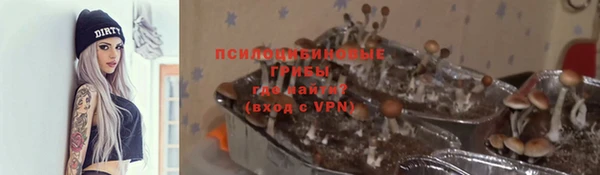 шишки Елизово