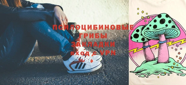 твердый Елабуга