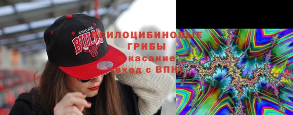 винт Дмитриев