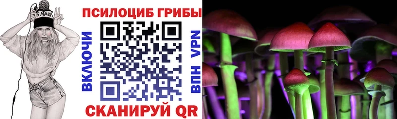 Псилоцибиновые грибы прущие грибы  Киселёвск 